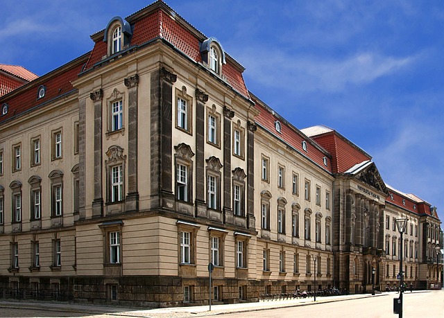 Bologna Üniversitesi başvuru